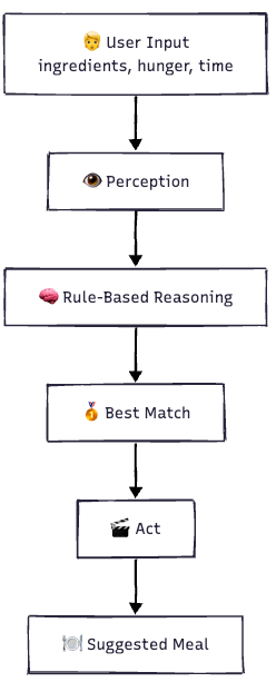 Process Overview on How the Agent works